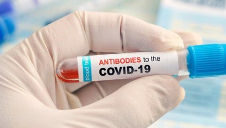 الأجسام المضادة لكورونا  تبقى في الجسم لعام كامل وتقاوم السلالات المتحورة