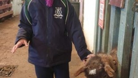 بعد هروبها ووالدتها من التهديد بالقتل.. المدارس البريطانية ترفض قبول لاجئة كفيفة