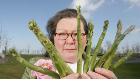 عرّافة بريطانية تكشف عن تنبؤاتها لعام 2022 عن طريق نبتة الهليون