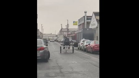 بالفيديو: بريطاني يلجأ لركوب عربة يجرها حصان احتجاجا على ارتفاع أسعار البترول