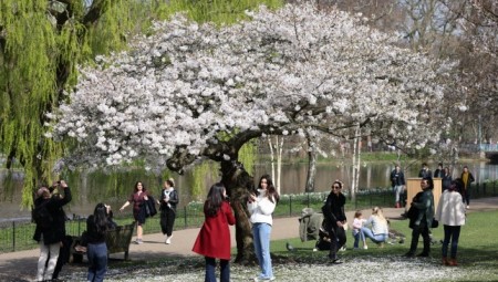 الأرصاد الجوية البريطانية: الربيع بدأ.. ويشهد الثلاثاء أعلى ارتفاع لدرجات الحرارة
