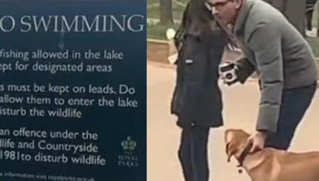 (فيديو) متصل ببرنامج نيك فيراري: إذا لم يستطع ريشي سوناك ربط كلبه فكيف سيربط الكلب الأكبر بوريس جونسون.