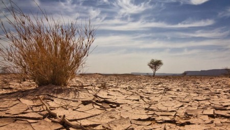 مركز أبحاث بريطاني يحث الحكومة على إنشاء نظام لاستقبال الفارين من الكوارث الطبيعية