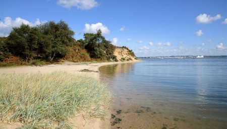 السلطات البريطانية تحذر سكان دورست من استخدام المياه بعد تسرب نفطي