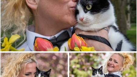 بريطانية  تتزوج قطتها لتجنب طردها من العقار