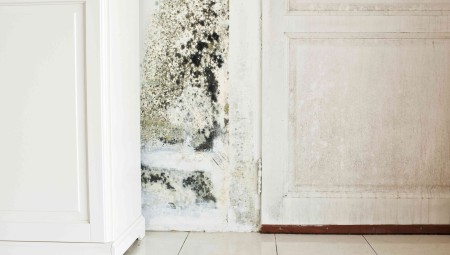 إدانة مجلس وستمنستر بسوء الإدارة بعد تجاهل شكاوى متكررة حول الرطوبة في أحد المنازل