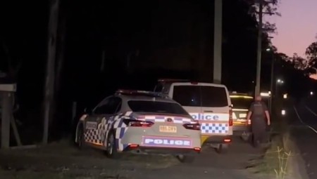في حادثة مؤسفة: نقل طفلة بعمر 3 سنوات إلى المستشفى بعد تعرضها للهجوم من قبل ثلاثة كلاب