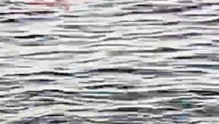 بالفيديو.. مقتل سائحتين في مصر بعد تعرضهما لهجوم أسماك القرش على شاطئ سياحي