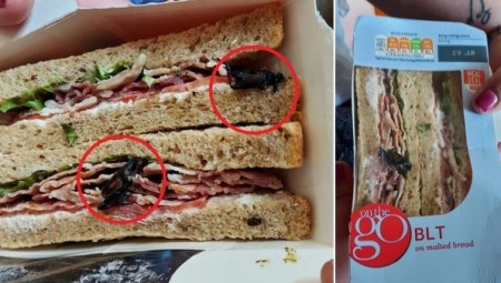 سيدة بريطانية تعثر على خنفساء ضخمة في شطيرة جاهزة اشترتها من Sainsbury's