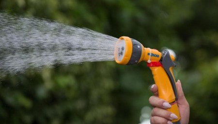 بريطانيا تحظر استخدام خراطيم المياه والرش بسبب موجة الحر والجفاف الذي تواجهه البلاد