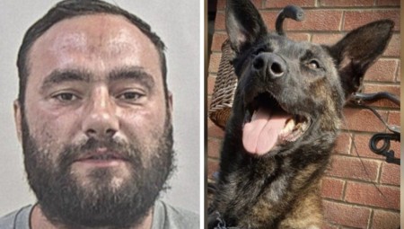 بريطانيا... السجن لرجل عض كلباً بوليسياً في رأسه أثناء اعتقاله