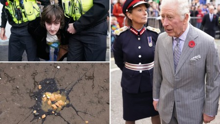 توقيف رجل رشق البيض في اتجاه الملك تشارلز الثالث في بريطانيا