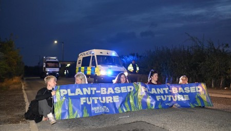 ناشطون نباتيون يستهدفون 4 مواقع لتوزيع مشتقات الحليب ويحذرون إجراءات أكثر تطرفا قريبا