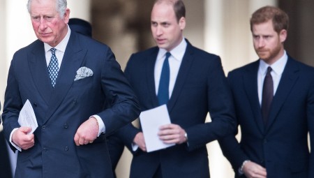 استبعاد الأمير هاري من عشاء جمع بين الملك تشارلز والأمير ويليام