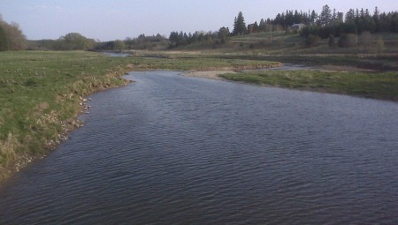 الجفاف يضرب مصدر نهر التيمز أحد أشهر رموز بريطانيا