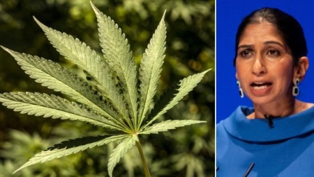بريطانيا.. المحافظون منفتحون لمنح الحشيش عقوبة قانونية مماثلة للهيروين والكوكايين والحبوب