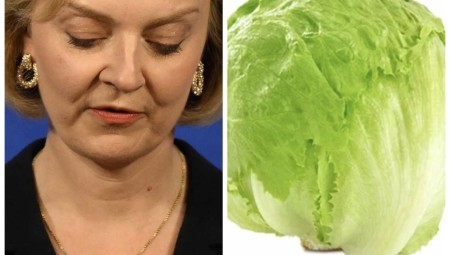 بهدف السخرية... نقاد بريطانيون: بقاء تراس في منصبها يعادل مدة صلاحية خسة متروكة على الرف