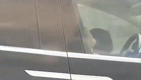 بالفيديو: سائق سيارة تيسلا بريطاني ينام طول الطريق مستخدماً القيادة الآلية