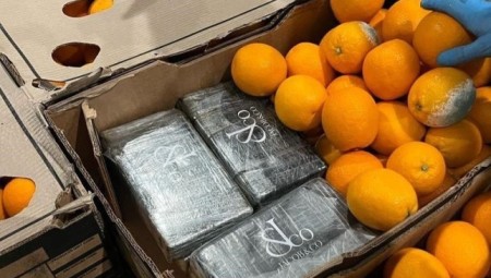 في صناديق البرتقال...  تهريب 24 مليون جنيه استرليني من الكوكايين إلى المملكة المتحدة