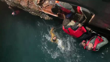 استمرار عمليات البحث والإنقاذ بعد غرق مركب في بحر المانش قبال السواحل البريطانية