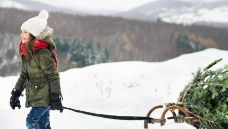 الأرصاد الجوية البريطانية: لن تزين الثلوج شوارع البلاد في عيد الميلاد