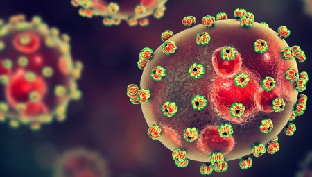إعلان إصابة بفيروس لاسا في إنجلترا
