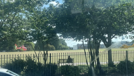 مصرع طفلة وإصابة أربعة أطفال إثر سقوط شجرة في حديقة عامة بإسكس