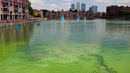 الحكومة البريطانية تتعهد بإجراءات شاملة لوقف تلوث المياه بعد ارتفاع الحوادث بنسبة 60%