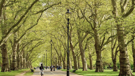 السجن 8 سنوات لطالب لجوء مصري اغتصب امرأة في هايد بارك