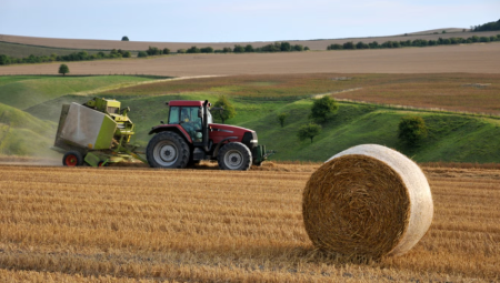 انخفاض صادرات المنتجات الزراعية البريطانية إلى الاتحاد الأوروبي بنسبة 37%