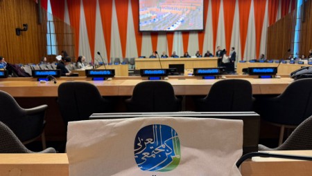 المركز العربي المجتمعي في بريطانيا يشارك في أعمال مجلس ECOSOC بالأمم المتحدة