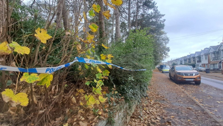 القبض على طالب لجوء مصري بتهمة اغتصاب امرأة في غابة ببورنموث